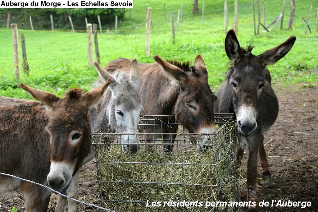 Hotel Auberge Du Morge Les Echelles